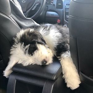 Meet your Posher, Kara